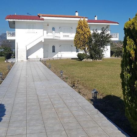 Silver Villa Raches Maisonette & Green Kouvela Экстерьер фото