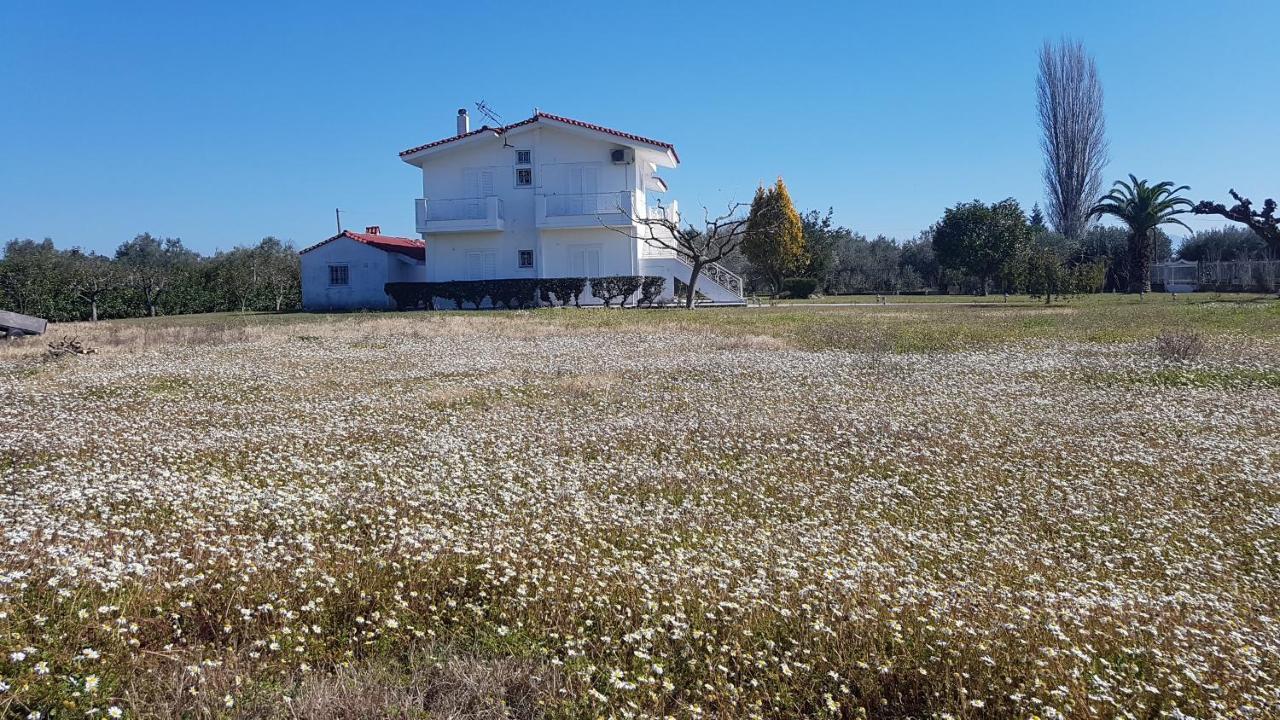 Silver Villa Raches Maisonette & Green Kouvela Экстерьер фото