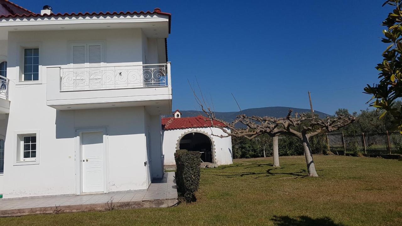 Silver Villa Raches Maisonette & Green Kouvela Экстерьер фото